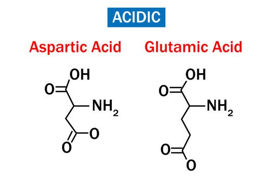 Structure of Aspartic and Glutamic Acid