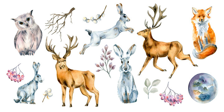 Set of wild animals and forest plants watercolor illustration isolated on white. © Kate Lanbina