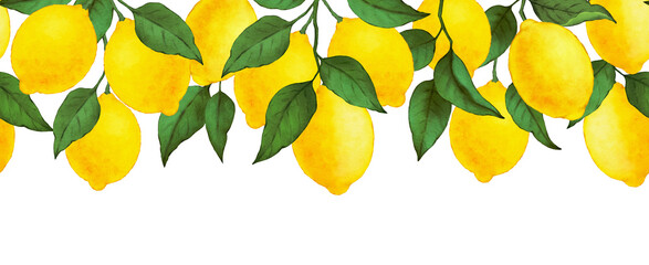 Lemon border digital watercolor PNG.  Lemon seamless border. 