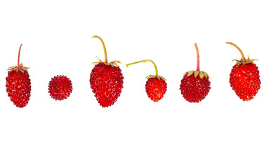 Wild strawberries isolated on white background.
