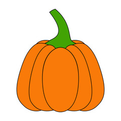 Pumpkin with a black outline. Vector illustration of a hand-drawn pumpkin on a white background. An element for autumn decorative design, an invitation for Halloween.Pumpkin Icon White Background 
