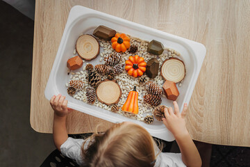 Fall Sensory Bin. Toddler playing with pumpkins, cones and dried beans in sensory box. Educational game. Learning through play. Montessori material. Sensory play ideas and Autumn nature crafts  - obrazy, fototapety, plakaty