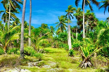Fototapeta premium Wunderschöne Aufnahme in Französisch Polynesien Bora Bora 