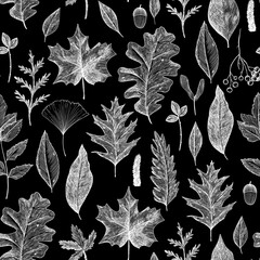 Pattern of autumn leaves. Seamless background of white leaves on black. Hand-drawn in the style of engraving