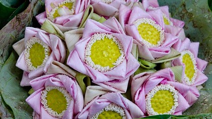 Blüten und Blumen auf asiatischen Blumenmarkt