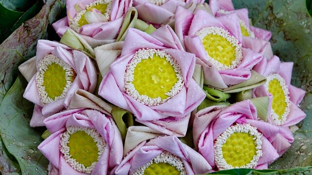 Bl&uuml;ten und Blumen auf asiatischen Blumenmarkt