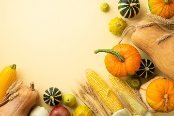 Thanksgiving day concept. Top view photo of raw vegetables pumpkins gourds pattypans corn zucchini and wheat on isolated beige background with copyspace - Powered by Adobe