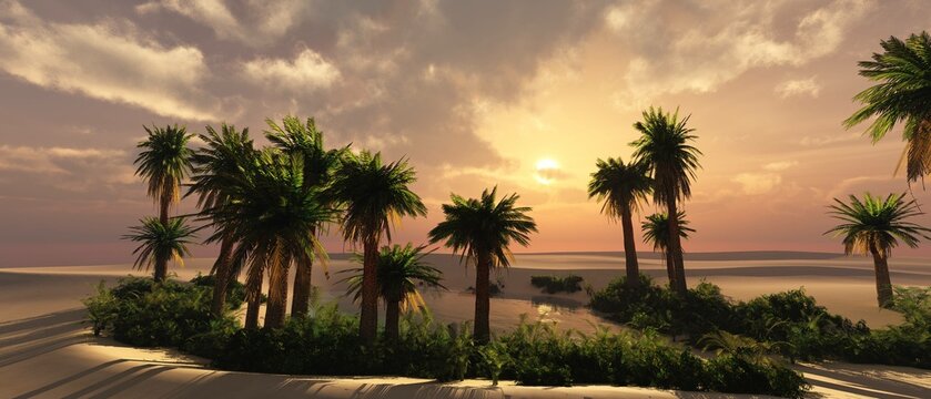Oasis, body of water with palm trees in the sand desert at sunset, palm trees over water in the dunes, 3d rendering