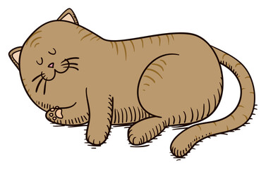 Drawing of cute and striped cat taking a nap, Vector illustration