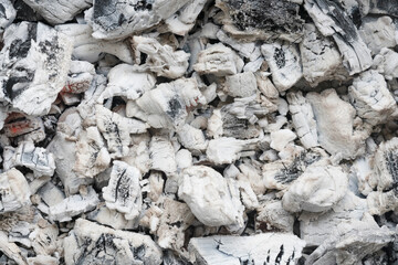 Black coals and white ashes after a fire. White charred pieces of wood