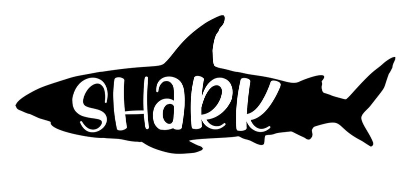 the silhouette of a shark with the word Shark inside. sea shark lettering black silhouette, isolated element for design template