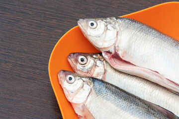 Gutted  raw fish on bowl close up