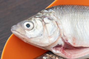 Gutted  raw fish on bowl close up