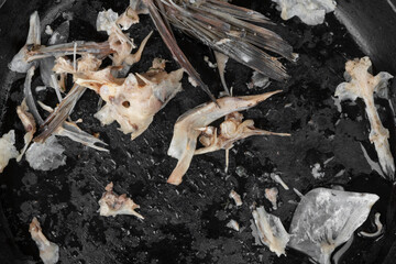 leftover food on a black background close-up. fish bones. scraps