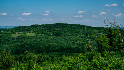 Fototapeta na wymiar Panorama of the mountain forest