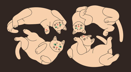 White playful Cats lying in various poses. Uncomfortable positions. Funny cute characters set. Hand drawn modern Vector illustration. T-shirt print, poster, sticker, card, logo design template
