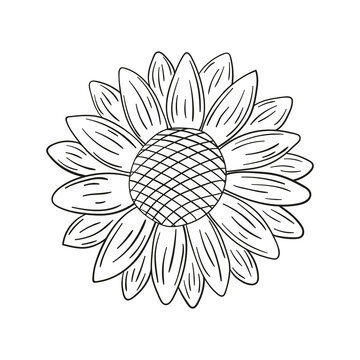 Doodle sunflower isolated on a white background. Hand drawn, simple outline illustration. It can be used for decoration of textile, paper.