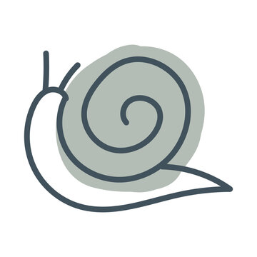 A simple snail. Vector illustration isolated on white background