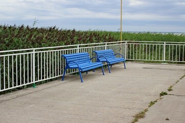 two blue benches stand on a pier near the sea with reeds