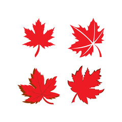 icon of a maple leaf. raster illustration, background logo