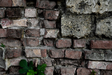 Naklejka premium Old brick wall. Bricks background.