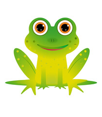 small baby green frog with big eyes on a white background
