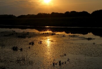 Naklejka premium reflection in the water of the evening sun