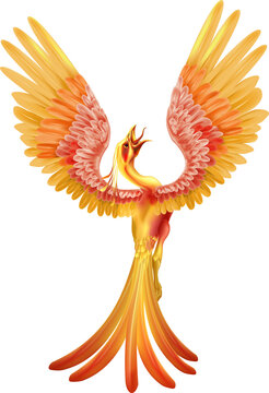Chinese Phoenix Rising