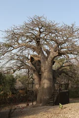 Selbstklebende Fototapeten Baobab tree house. Architecture in Palmarin, Senegal, Africa. Lodge Les Collines De Niassam. Wooden house in Lodge Les Collines De Niassam. African architecture, house. Senegal nature, landscape, view © Sergey