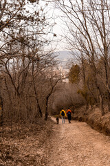 Walking together