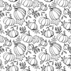 Pumpkin and autumn leaves seamless pattern. Vector illustration. Hand drawn background. Sketch style