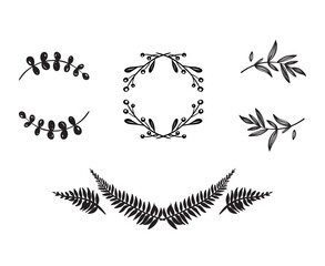floral decorative elements doodle style