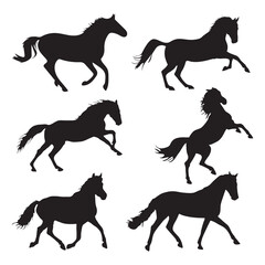  Horse silhouette collection isolated on white
