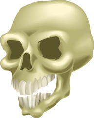 skull illustration