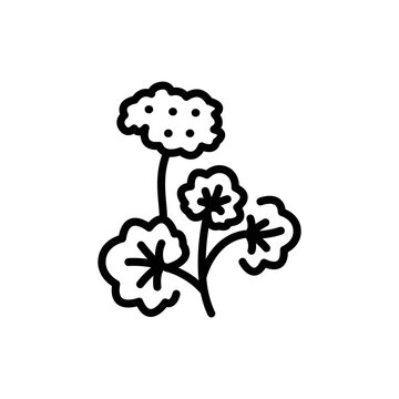 recommend clip art: Geranium olor line icon. Pictogram for web page