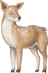 Deer animal character illustration © Anastasiya