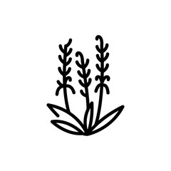 Lavender olor line icon. Pictogram for web page