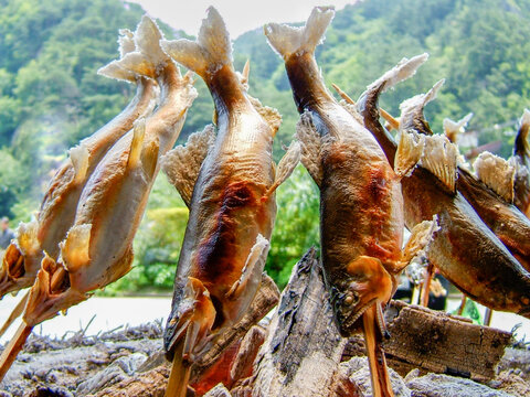 鮎の炭火焼き