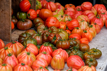 selective focus on heirloom or heritage tomatoes at the farmers market