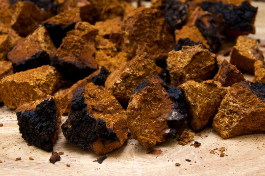 Closeup of dried and cut orange and black medicinal chaga mushroom from birch tree, used in alternative medicine on cutting board.
