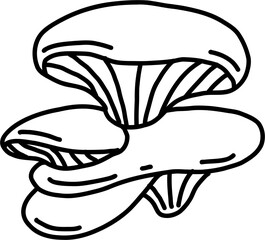 doodle freehand sketch drawing of oyster mushroom vegetable.