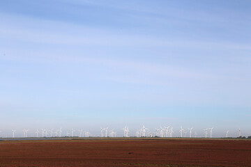 Windpark an der Nordsee im Herbst