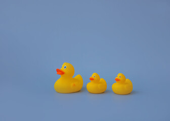 Three yellow rubber toy ducks for swimming on a blue background