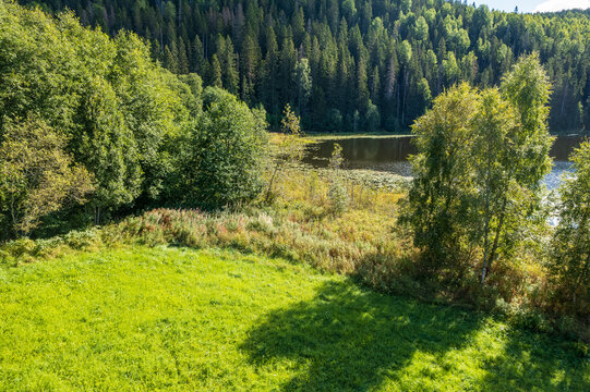 Idyllic View Of Lakeshore In Summer