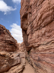Rocks in the desert of Egypt. Desert, red mountains, rocks. Egypt, the Sinai Peninsula