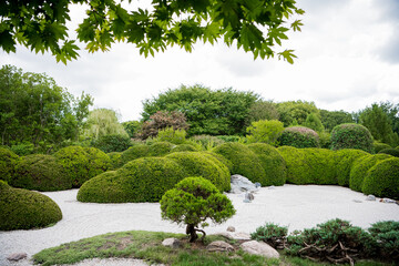 Japanese zen garden