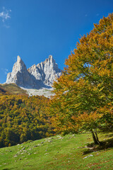 Vallèe de Aspe, French pyrenees. Lescun valley, Ansabere
