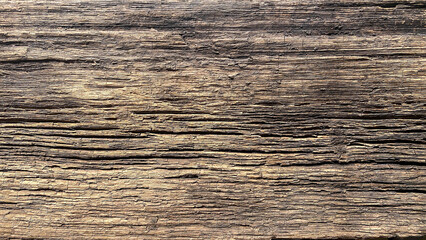 Naklejka premium Archaeological Wood texture found in middle Volga