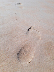 Footprints in the sand