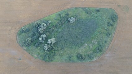 Top view photo with flying drone of the land with fields in the countryside. Photo of a field with untreated areas. Trees in the field
